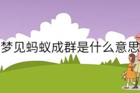 梦见自己身上爬满蚂蚁是什么意思