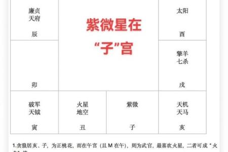 紫微斗数子女宫详解(紫微斗数子女宫紫薇)