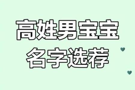 高姓男宝宝取名2025