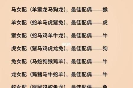 怎么看两个人的八字合不合(怎么看两个人的八字合不合婚)