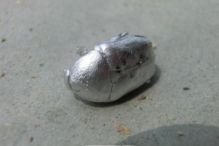 做梦梦见身上好多虫子