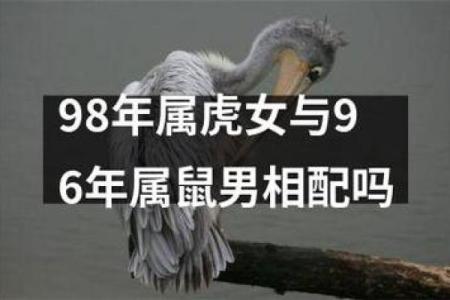 1996属鼠女最佳配对(1996属鼠女和什么属相最配)