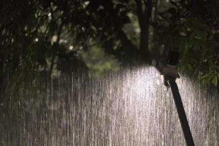 梦见晚上下雨