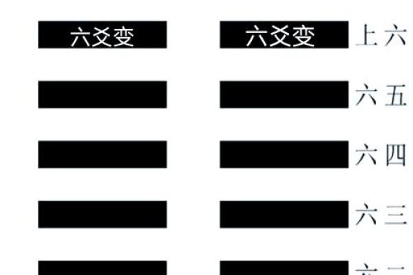 龟壳六爻卦免费占卜(龟壳六爻卦免费占卜坤卦)