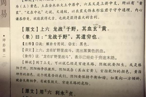 龟壳六爻卦免费占卜(龟壳六爻卦免费占卜坤卦)
