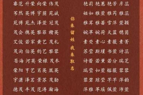草字头最旺男孩名字推荐(草字头的男孩子的名字)
