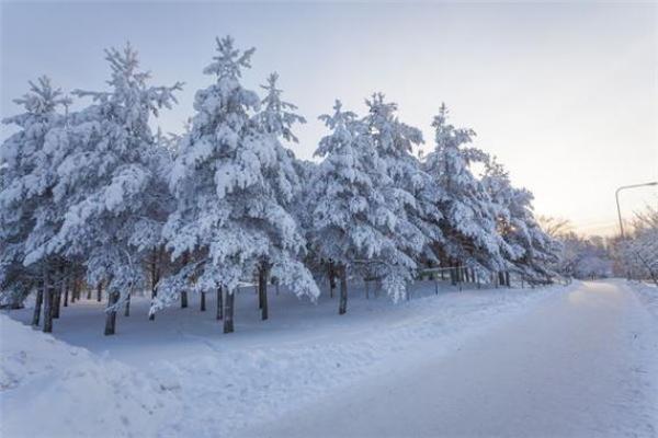 梦见家里下雪