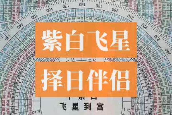 玄空飞星择日的正确方法(玄空飞星择日的正确方法雷太壮)