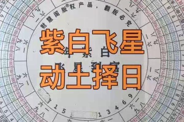 玄空飞星择日的正确方法(玄空飞星择日的正确方法雷太壮)