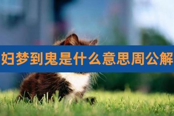 周公解梦梦见鬼