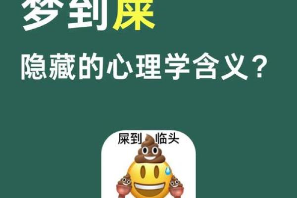 男人梦见自己身上都是屎