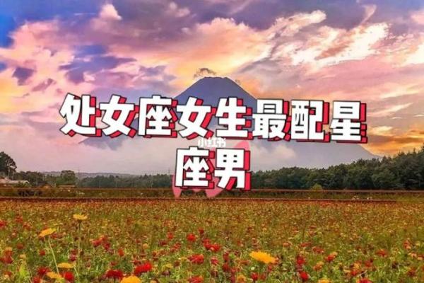 处女座女和什么座最配对男(处女座女和什么星座女最配对)