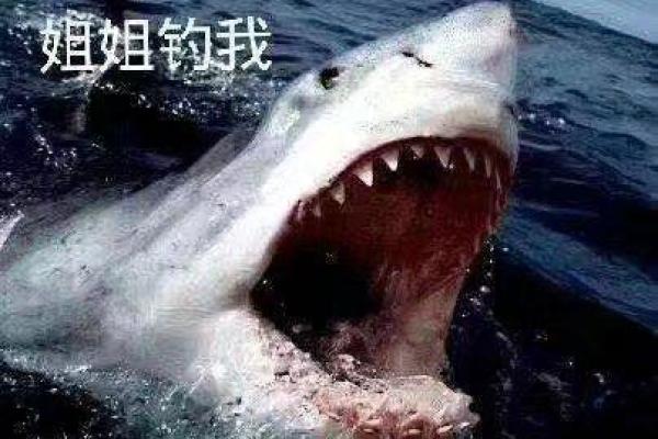 做梦狼追我是什么意思