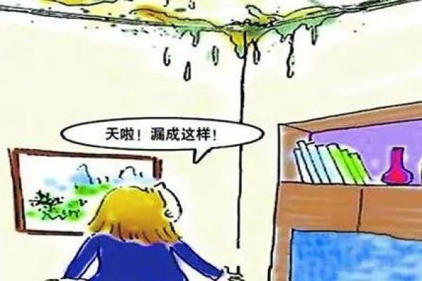 梦见下雨房子漏雨