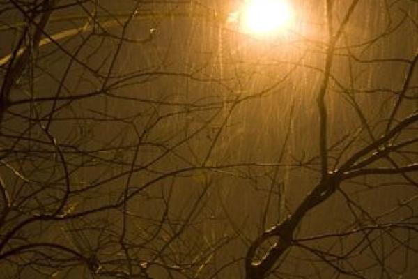 梦见下雨又下雪是什么意思