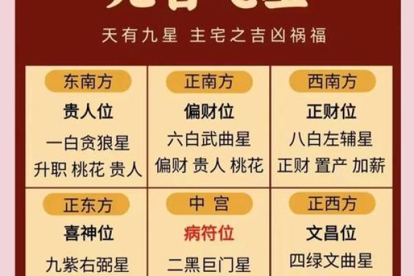 九运玄空飞星排盘(九运玄空飞星排盘app)