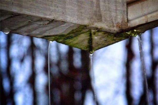 女人梦见房顶有窟窿并漏雨