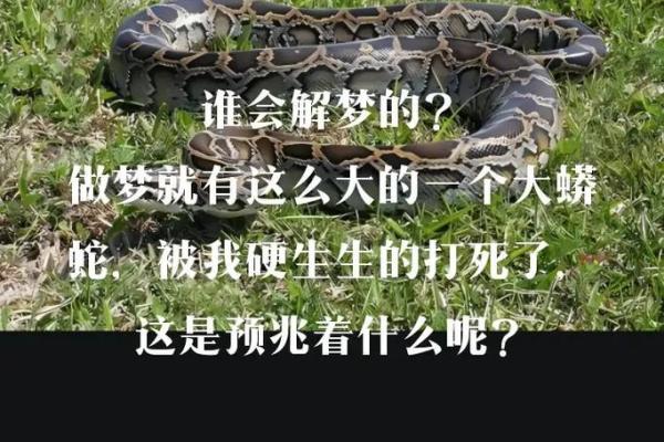 做梦梦见蛇了是什么征兆