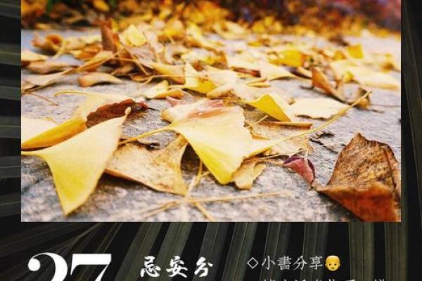 梦见天黑下雨是什么预兆解梦