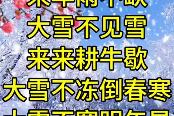 梦见下雪是怎么回事