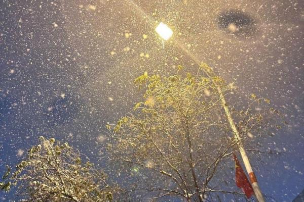 梦见自己家下雪是什么征兆