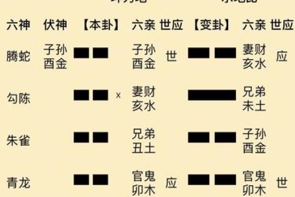 六爻免费占卜每日一卦(六爻免费占卜每日一卦解卦)