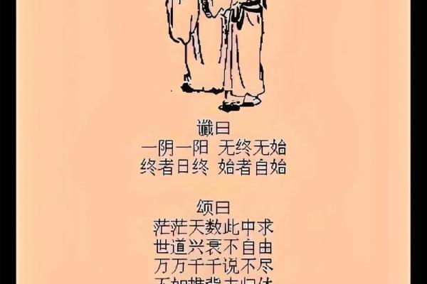 每日一签六爻占卜龟背(每日一签六爻占卜龟背30卦)
