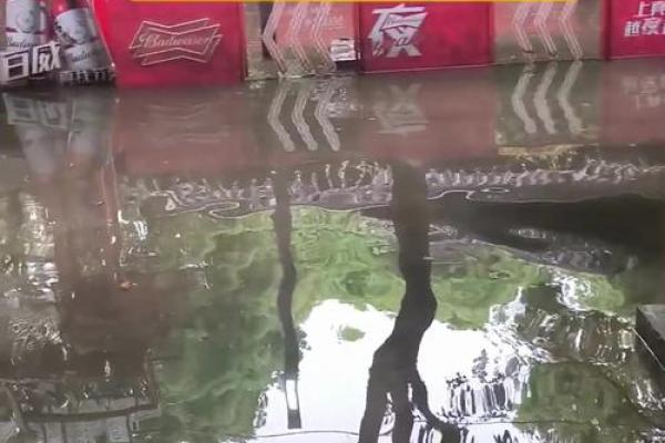 梦见下雨积水很深