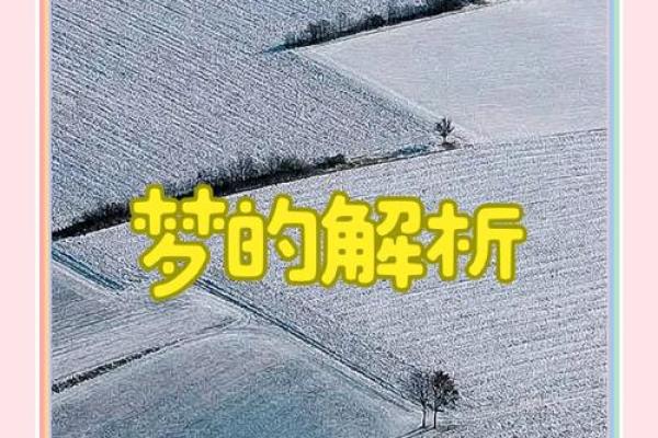 梦见下雪什么意思