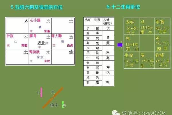 玄空飞星排盘方法(玄空飞星排盘方法视频)