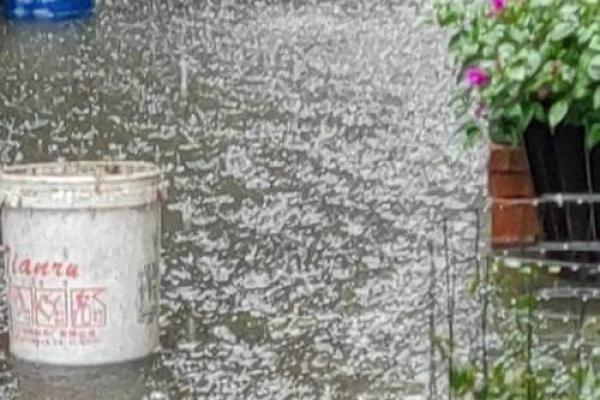 做梦梦到下雨淹了到处是水