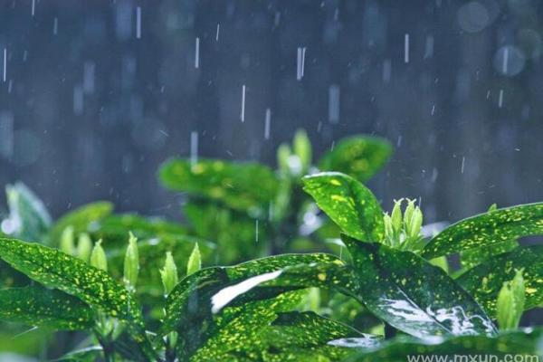 女人梦见刮风下雨什么预兆