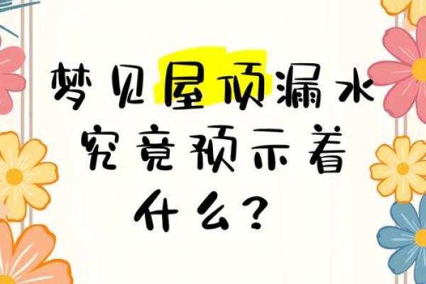 梦见下雨家里漏水
