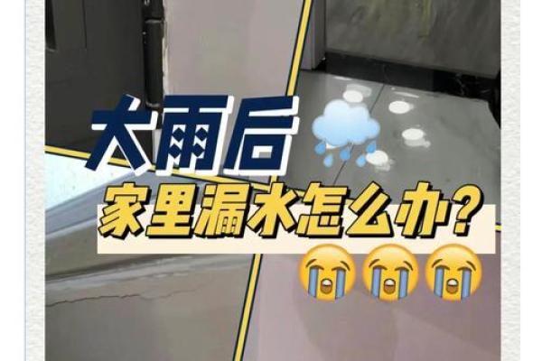 梦见下雨家里漏水