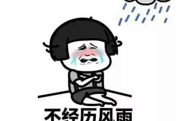 梦见下雨没带伞
