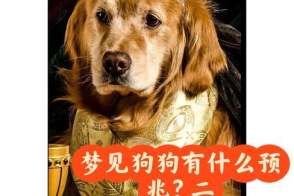 梦见狗追自己预示什么
