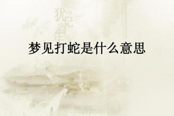 梦见两条蛇被打死了是什么意思