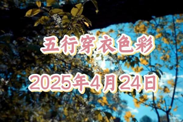 穿衣颜色2025年4月28日五行搭配(穿衣颜色2025年4月28日五行搭配图)