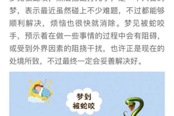 周公解梦梦到好多蛇