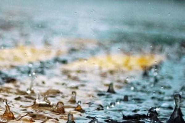 梦见一直下雨