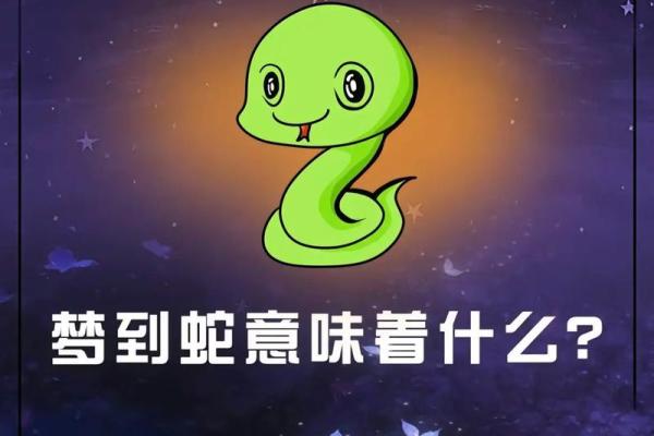怀孕梦见两条蛇
