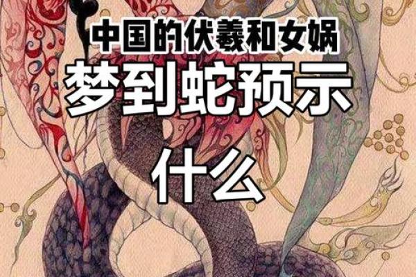 怀孕梦见两条蛇