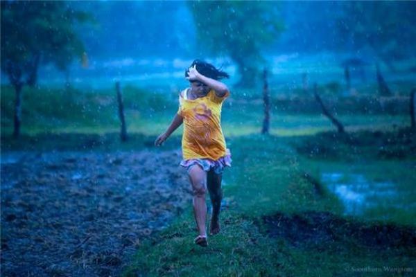 女人梦见下雨什么预兆解梦