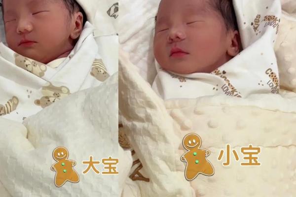 梦到生了一对双胞胎儿子