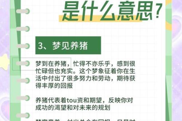 梦见被猪追是什么预兆 女性