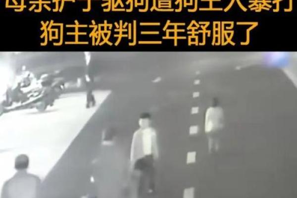 妈妈做梦梦到狗咬女儿