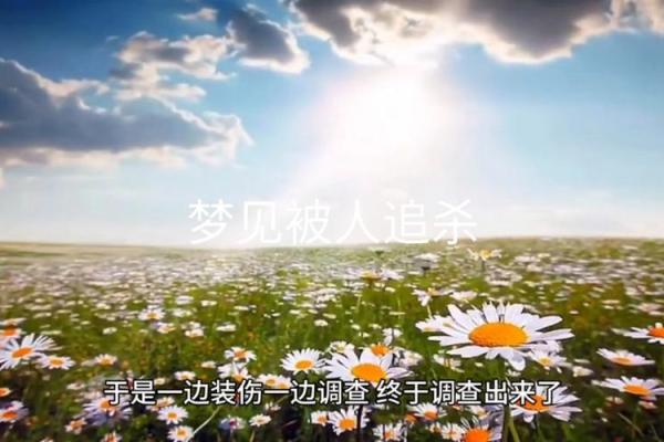 经常梦见被追杀逃跑躲藏