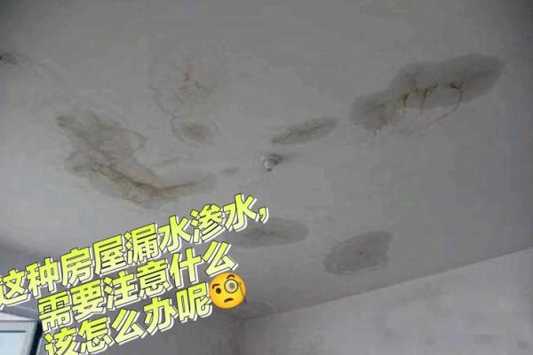 梦见卧室房顶漏水