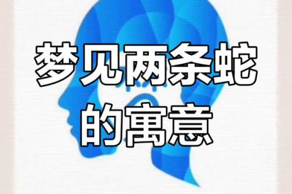 梦见蛇有什么预兆