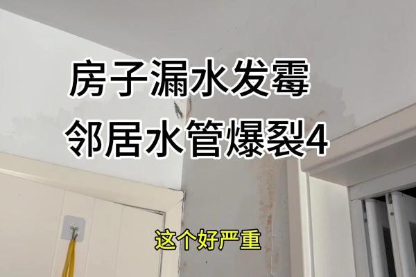 梦见下暴雨房子漏水了